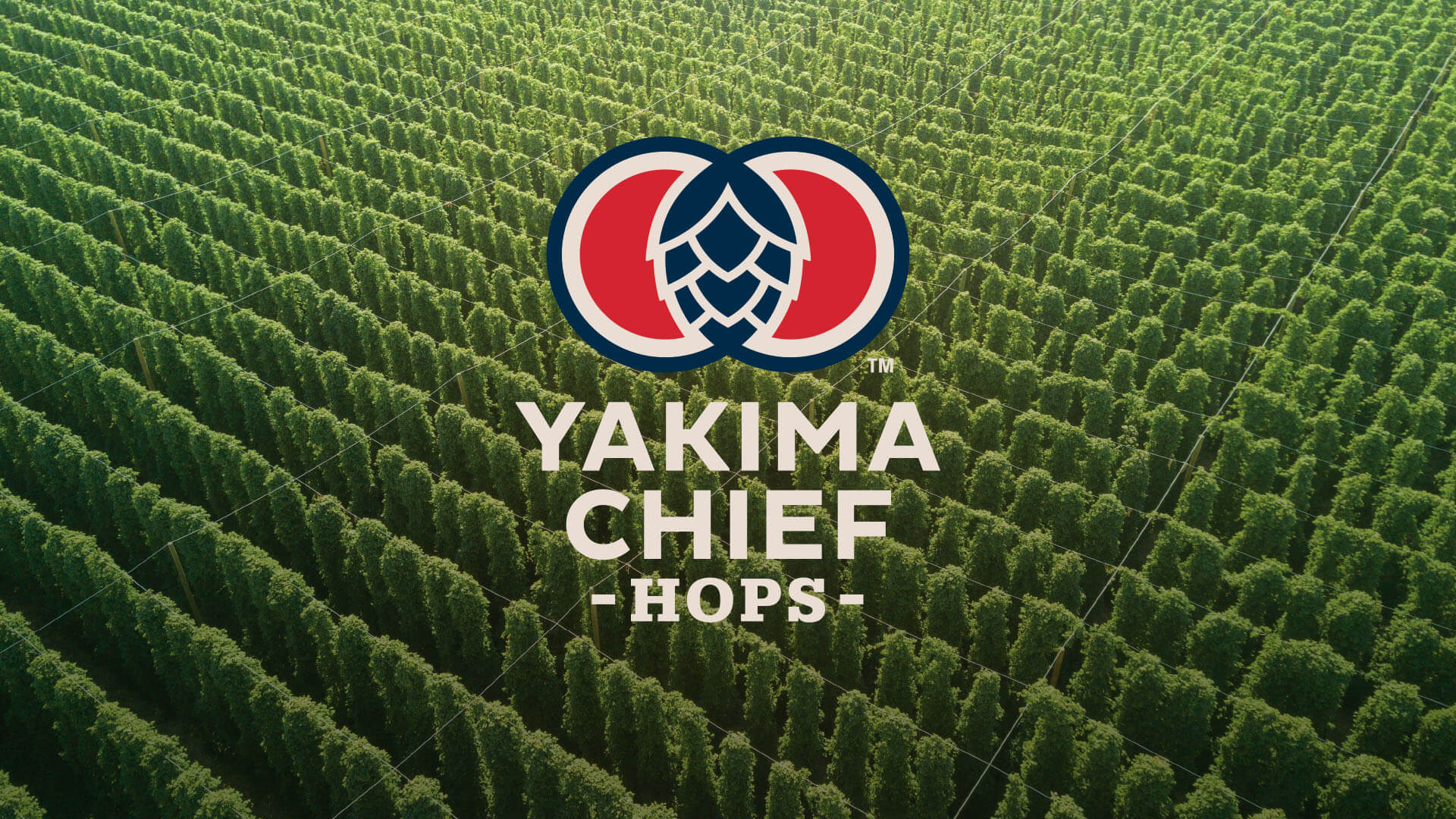 Yakima Chief Hops Hop Bines Aerial