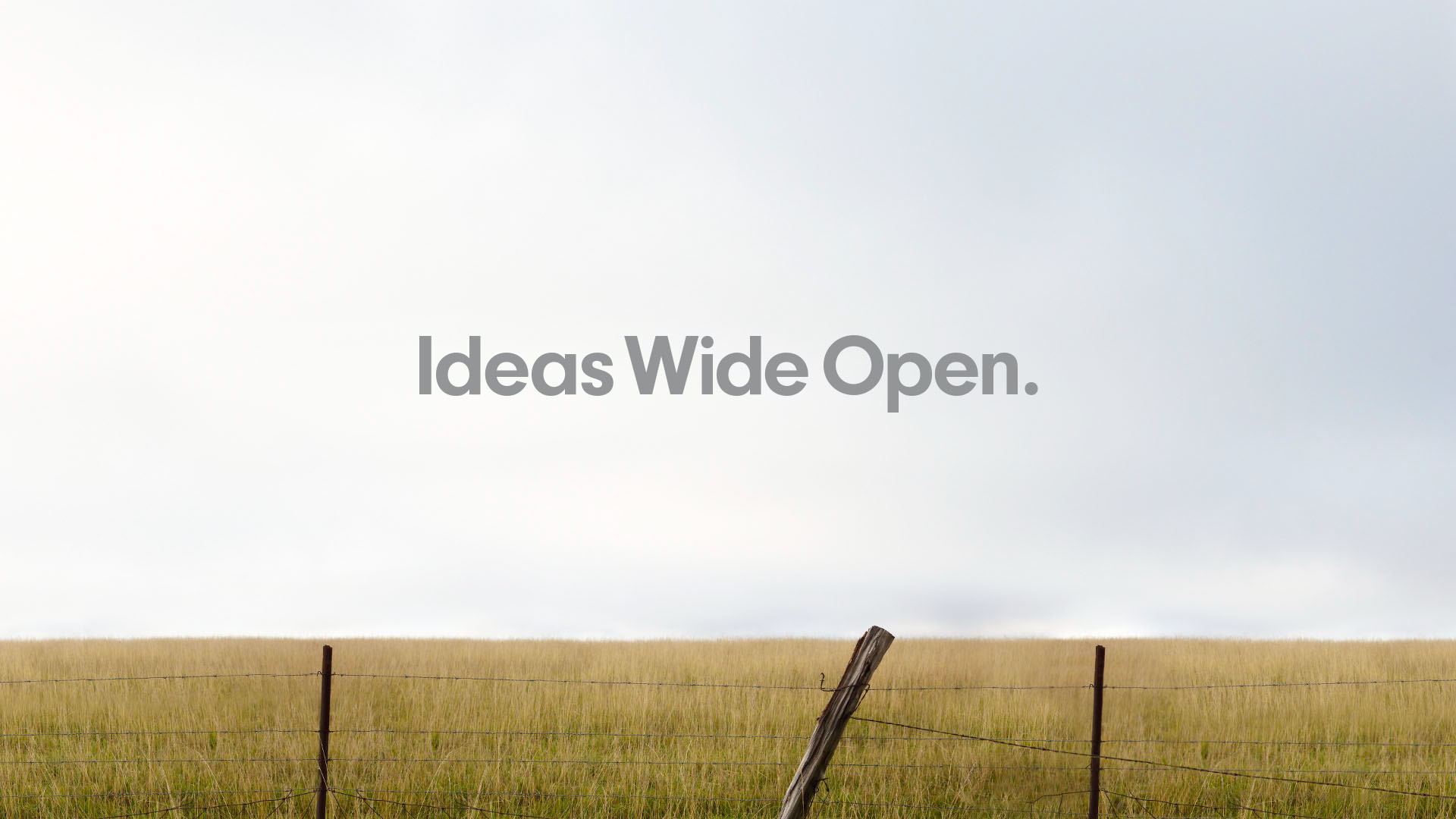 Ideas Wide Open